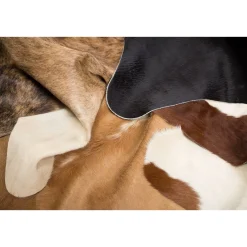 MATTOKYMPPI häräntalja beige/valkoinen